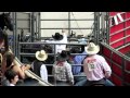 Grand national rodeo cruelty  steer wrestling  slammed to ground  oct 22 2011