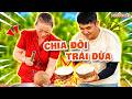 Thử Thách Chia Đôi Trái Dừa Khô Bằng Nhau | Phước Lầy