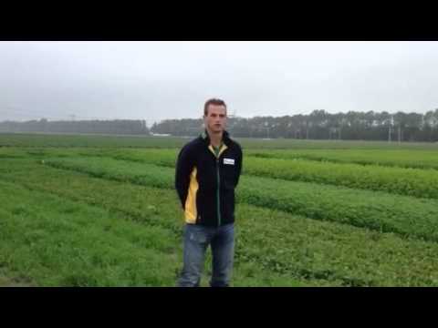 Agrifirm relatiedag Lelystad