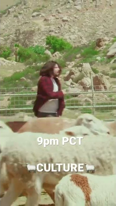 Audio at 9pm https://shayhan.ffm.to/culture