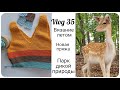 Vlog 35 Вязание летом || Новая пряжа || Парк дикой природы Wild und Wanderpark Silz