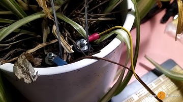 Testing a DIY soil moisture sensor