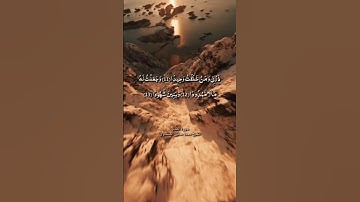 ذرني ومن خلقت وحيدا / سورة المدثر / الشيخ محمد صديق المنشاوي