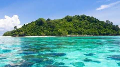 (لا خير في كثير من نجواهم ) تلاوة من سورة النساء _ رعد الكردي_