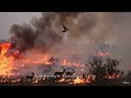 Can one drop of water stop a forest fire? 🐦🔥 #Wisdom #Inspiration