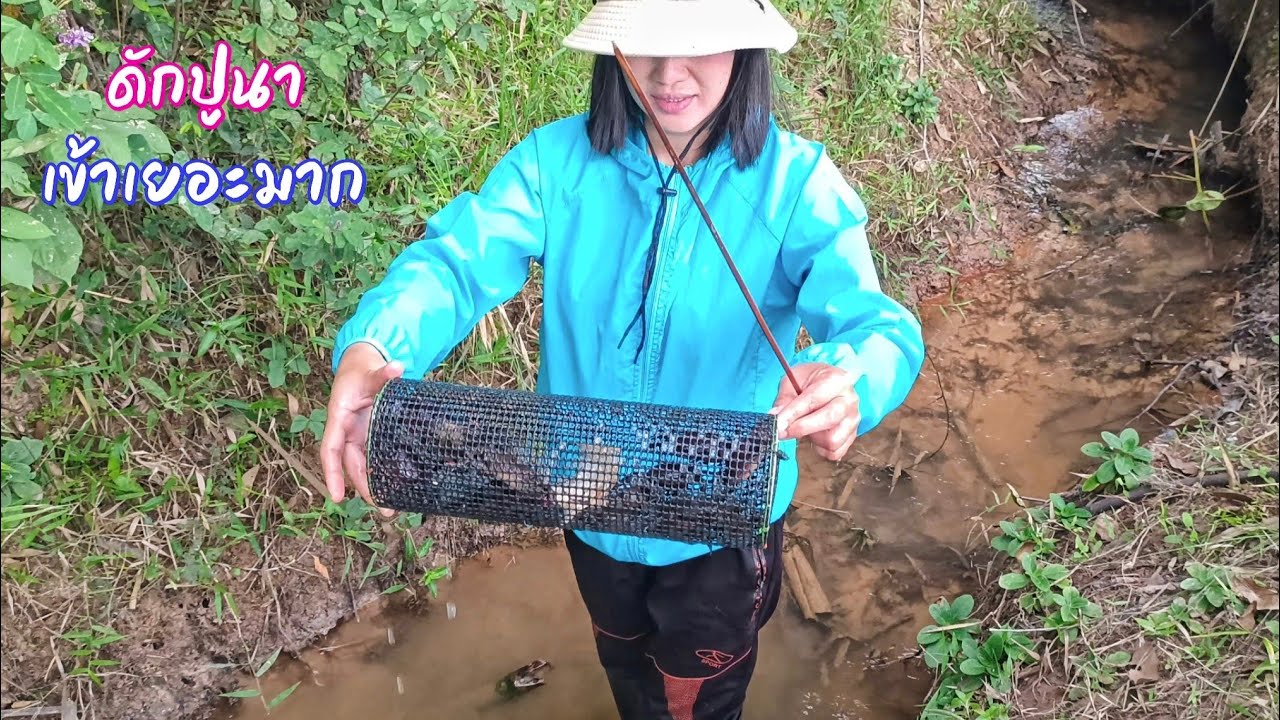 ดักปูนาเหยื่อปลา เข้าดีมาก จัดเมนูเด็ดๆ โต้ลมหนาว / ตุ้มแพรว พาเพลิน EP.898