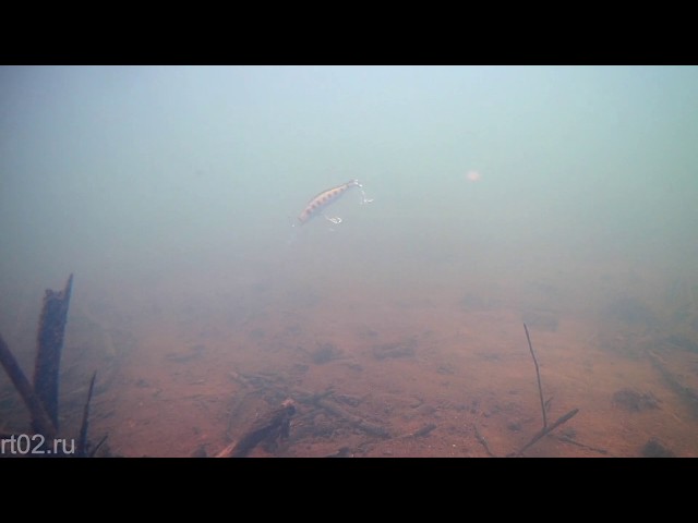 Копия воблера ZipBaits Orbit 90 SP DR от Lingyue (подводная съемка)