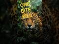 The Only Cat That Hunts Crocodiles 🐆