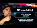 Freemusic distribuidora gratuita  melhor que tunecore distrokid e cdbaby overview