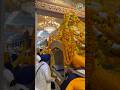 Dhan Sri Guru Ramdas jij 🙏🙇🏻#gururamdasji #baba #shorts #trending #shortsfeed #darbarsahib
