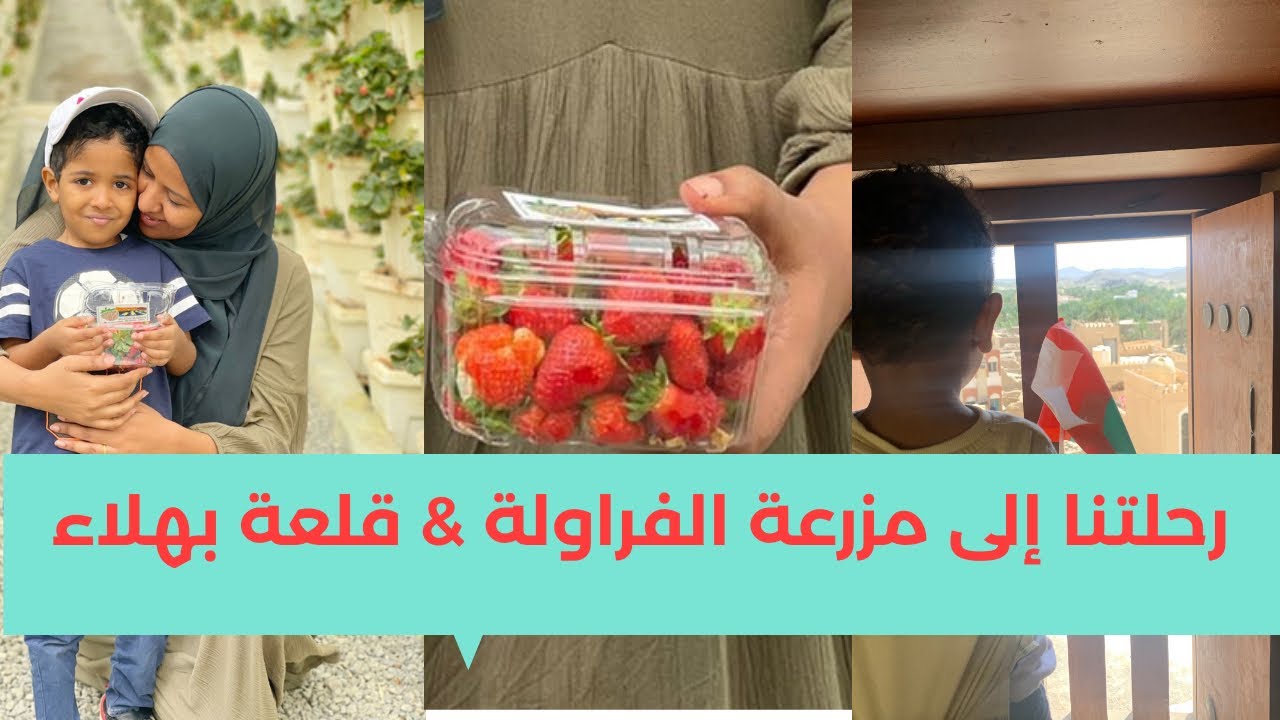 فلوق رايق زيارتنا لمزرعة الفراولة ، قلعة بهلاء و ولاية نزوى