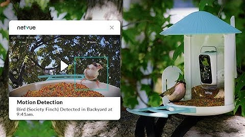 Kickstarter: Birdfy, The First Auto AI Recognition Bird Feeder Camera
