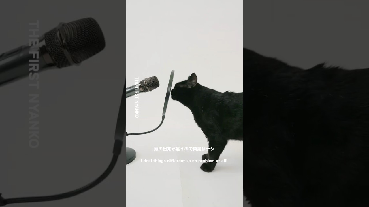 🎙THE FIRST NYAN