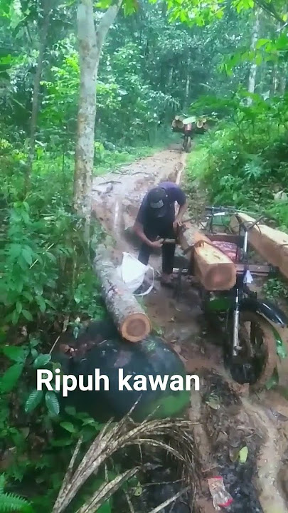 setiap perjalanan pasti ad halangan