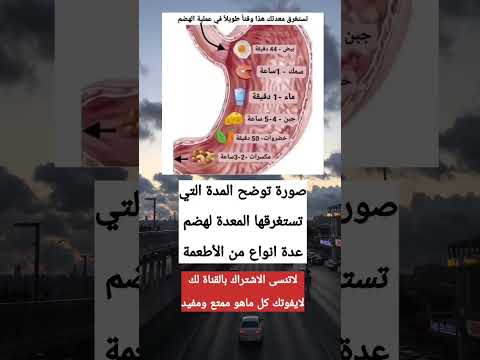 المدة التي تستغرقها المعدة في هضم الطعام أكلات سريعة