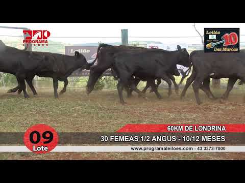 Lote 09