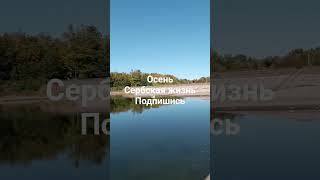 Сербская жизнь. #русскиевсербии #эмиграцияизроссии #жизньзаграницей