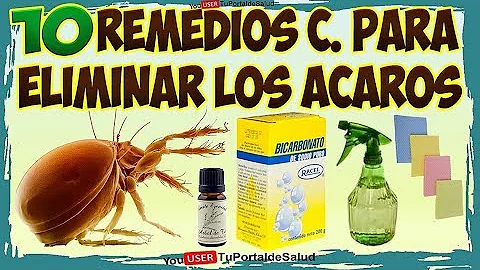 ¿Qué mata a los ácaros en la lavadora?