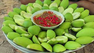 Sour Mango​ Picking for Eating With Sweet Prahok