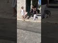 Стамбул ! Иду к мечети Сулеймания !!!!