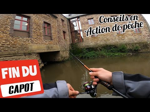 Spécial Pêche en Mer : Fritures et poissons sauve bredouille - Le chasseur  français