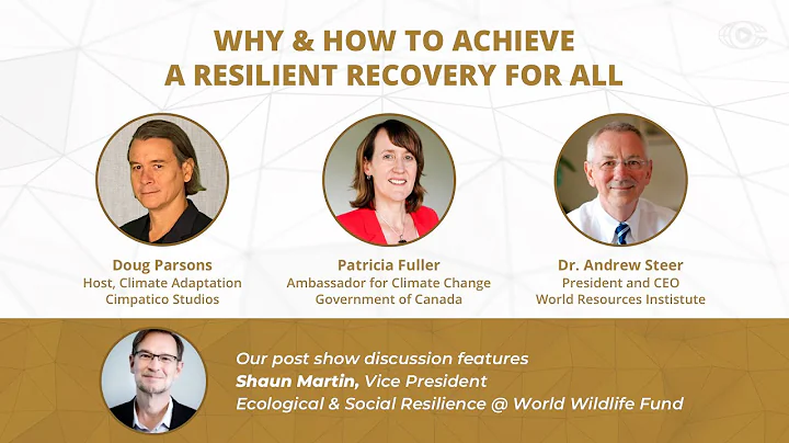 Why and How to Achieve a Resilient Recovery for All