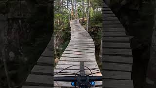 Awesome wood features at Sentier du Moulin! # #mtb #canada #mtbbike