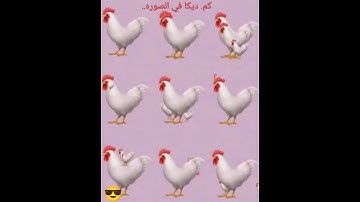 ركز جيدآ وانت حتعرف الاجابه مااجمل صوت القران الكريم