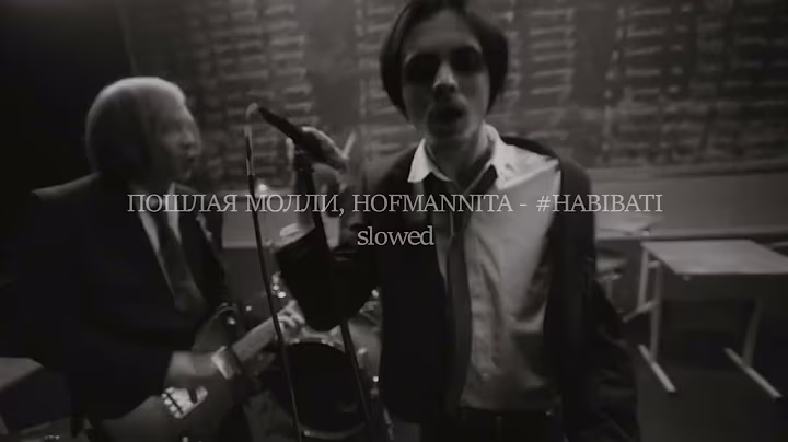 ПОШЛАЯ МОЛЛИ, HOFMANNITA – #HABIBATI ( slowed+reverb )