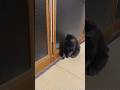 どういうこと⁉️想定外のプレゼント😻🎁😻
