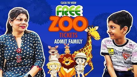 Zoo at home |  How to View Google 3D Animals in Your Mobile