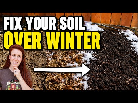 5 Fall Soil Tasks That Make a HUGE Difference by Spring