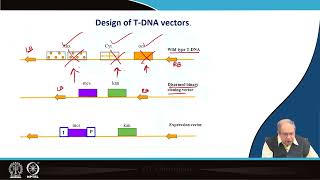 Lecture 10: Design of vectors for Agrobacterium-mediated gene transfer.....#swayamprabha #CH31SP
