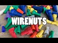 WIRENUTS - Why Are There So Many, and Why You Should Care...
