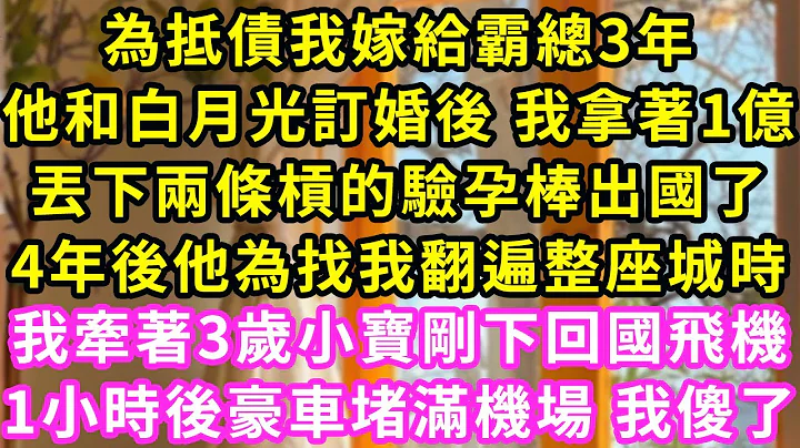 為抵債我嫁給霸總3年，他和白月光訂婚後 我拿着1億，丟下兩條槓的驗孕棒出國了，4年後他為找我翻遍整座城時，我牽着3歲小寶剛下回國飛機，1小時後豪車堵滿機場 我傻了#甜寵#灰姑娘#霸道總裁#愛情#婚姻 - 天天要聞