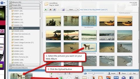 How to create photo collage in Picasa and download premium images || Quick tutorial