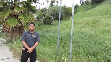 Introduction to Weeds/Grasses