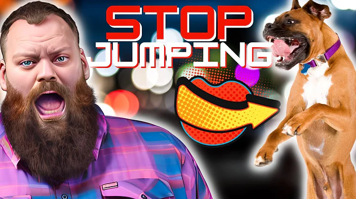 Teach Your Dog To Stop Jumping Up In 3 Simple Steps