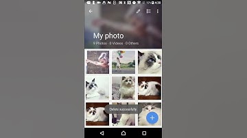 How to authorize GalleryVault to access SD card