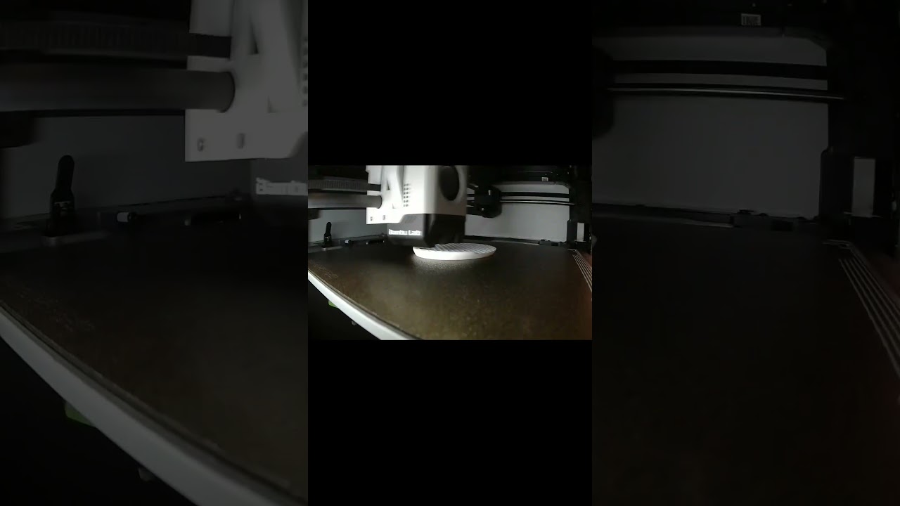 Duck Soap Dish Insert short #3dprinting #timelapse