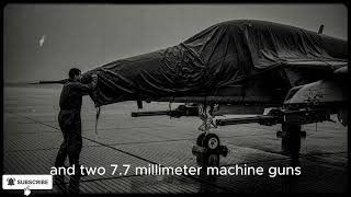 Japanese Pilots Mocked The Australian Airmen — Then RAAF Fighters Shot Down 120 Zeros