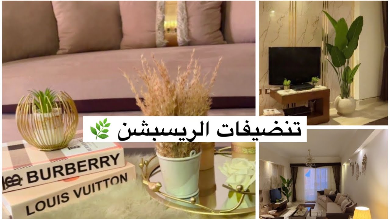 تنضيفات الريسبشن 🌿