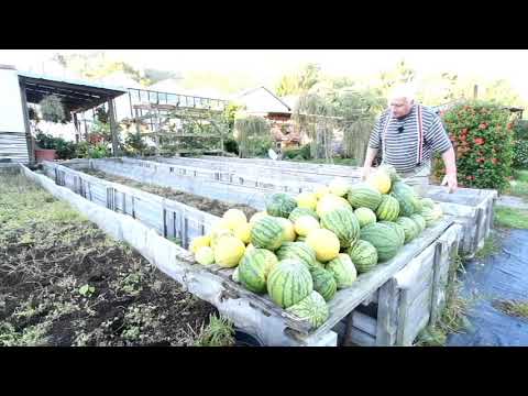 Video: Jak Správně Jíst A Skladovat Meloun