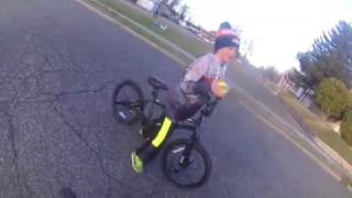 bryce almost ran over a cat on accident!