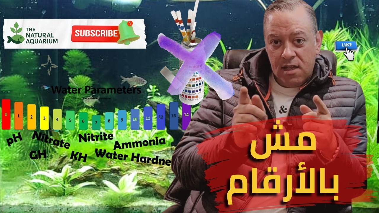 🎯 ازاي تبني حوض سمك بدون فشل