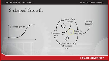 System Dynamics: Fundamental Behavior Patterns