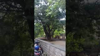 Original Video(sound on)from JNTUH University |No edit| #hyderabad #jntu #study #bechlor #london #uk