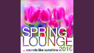 Spring Lounge 2016 (Continuous Mix)