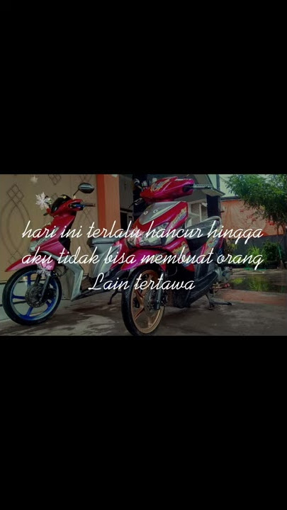 story'wa babylook stlye