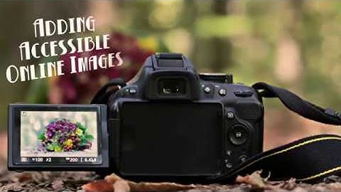 Adding Accessible Online Images